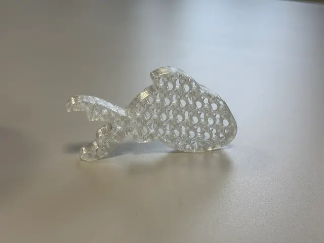 Захист дверей